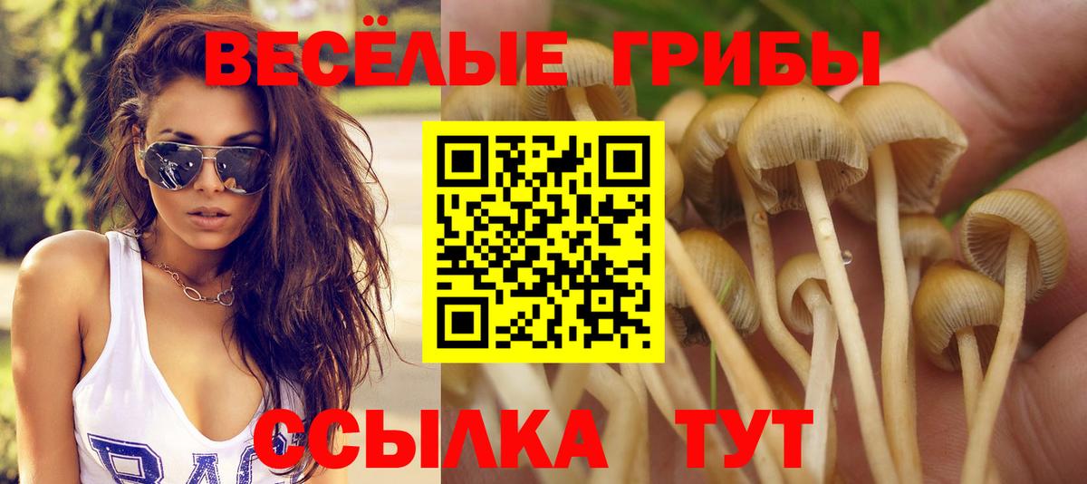 Галлюциногенные грибы мухоморы Ишимбай