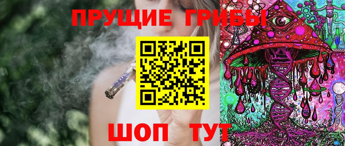 Галлюциногенные грибы Psilocybine cubensis  Вход с VPN  Ишимбай 